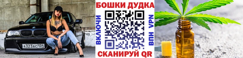 Каннабис сатива Сураж